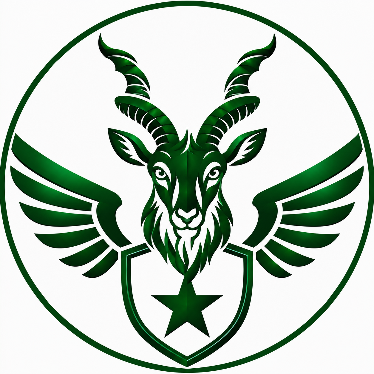Salam-e-Pakistan Logo